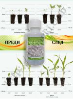Ризо-витал 42 - резултат