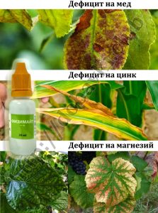 Физимайт - кога се ползва