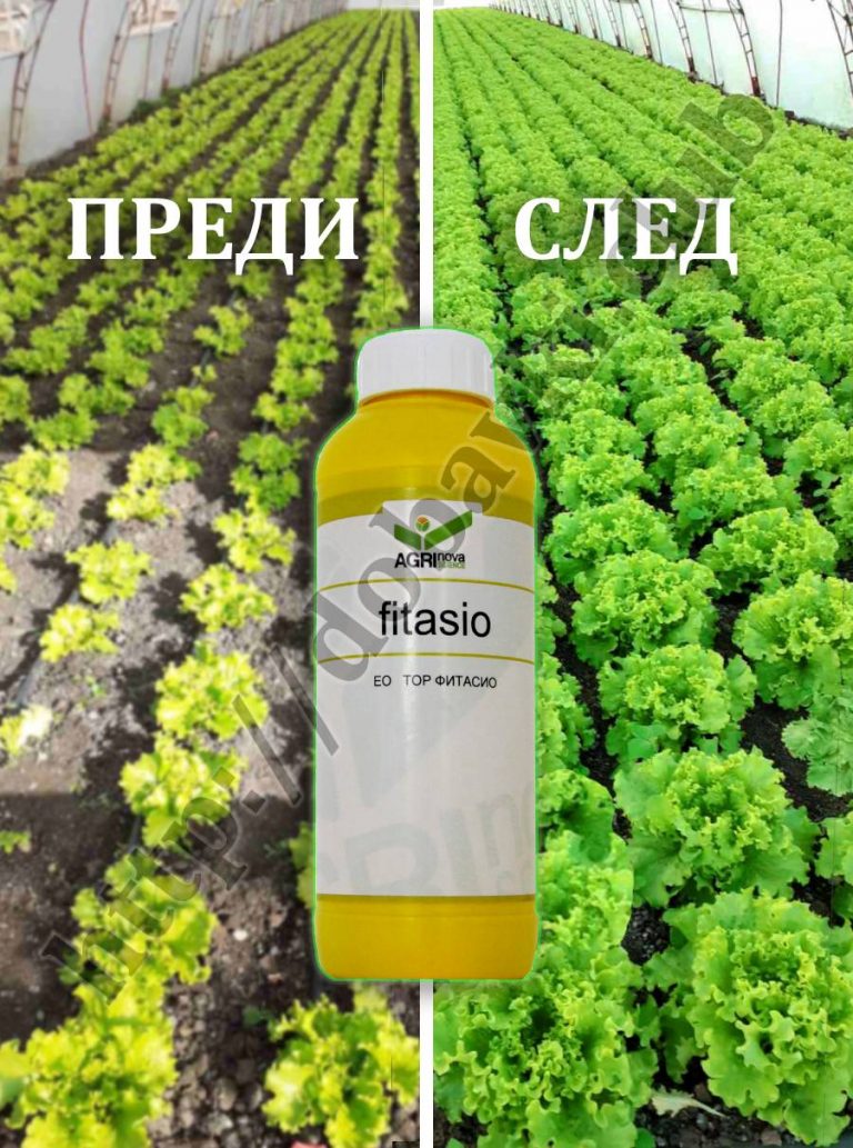 Със специфично действие – Добавки за растения
