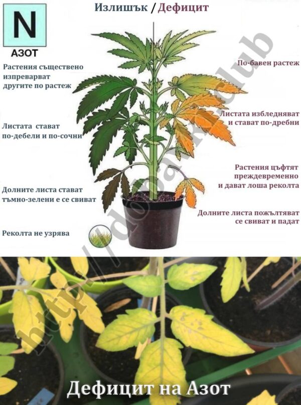Амониев Хлорид (Нишадър) + мярка за 1 г – Добавки за растения