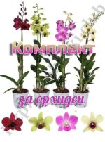 комплект за орхидеи