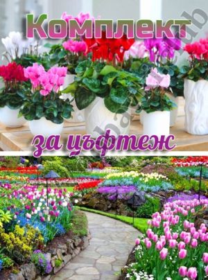 комплект за цъфтеж