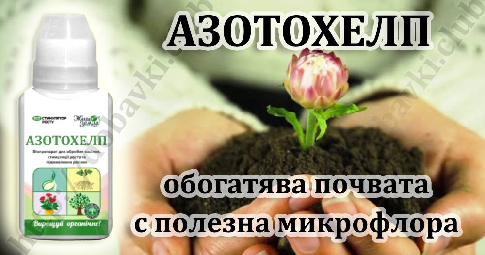 Азотохелп - тор, обогатяващ почвата с полезна микрофлора - dobavki.club Бурканче с азотохелп и човека който държи цветенце